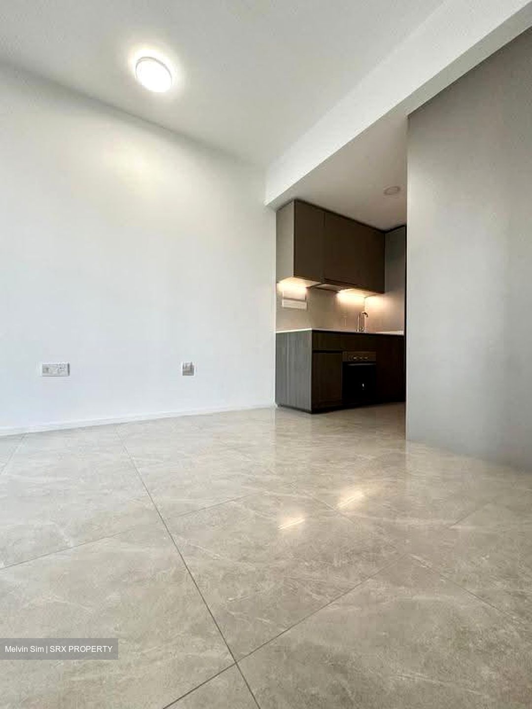 Piccadilly Grand (D8), Apartment #636494101